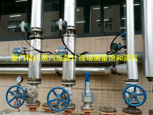 廈門精川與大型豆制品公司成功簽訂多套蒸汽流量計項目，助力電子軟硬件研發升級
